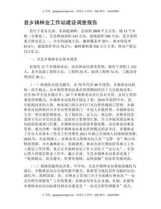 县乡镇林业工作站建设调查报告