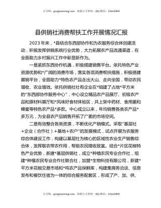 县供销社消费帮扶工作开展情况汇报