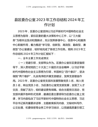 县区委办公室2023年工作总结和2024年工作计划