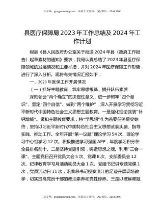 县医疗保障局2023年工作总结及2024年工作计划