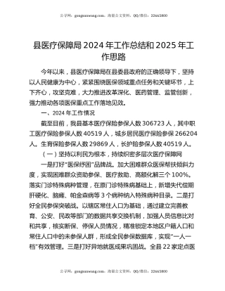 县医疗保障局2024年工作总结和2025年工作思路
