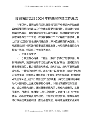 县司法局党组2024年抓基层党建工作总结