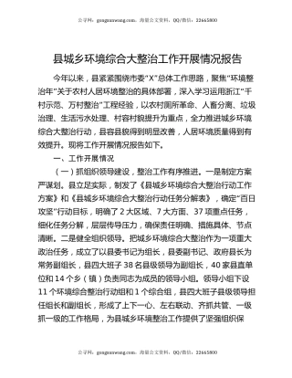 县城乡环境综合大整治工作开展情况报告
