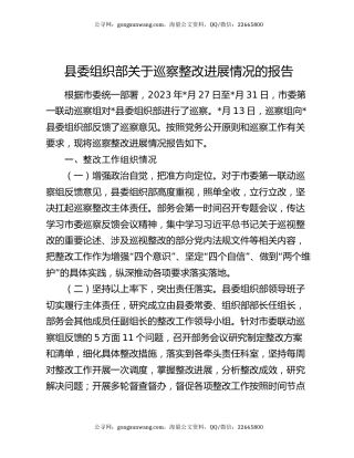 县委组织部关于巡察整改进展情况的报告