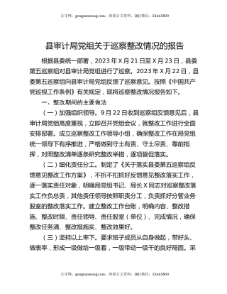 县审计局党组关于巡察整改情况的报告