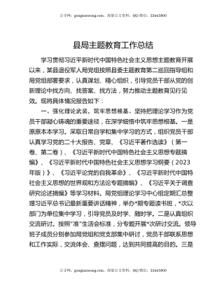 县局主题教育工作总结