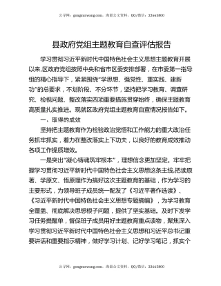 县政府党组主题教育自查评估报告