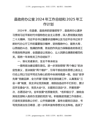 县政府办公室2024年工作总结和2025年工作计划