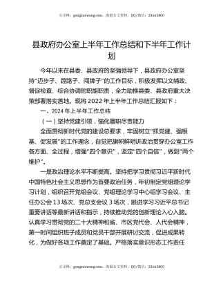 县政府办公室上半年工作总结和下半年工作计划