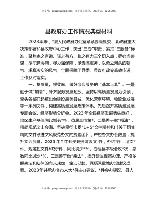 县政府办工作情况典型材料