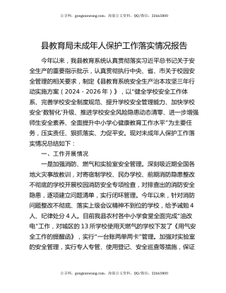 县教育局未成年人保护工作落实情况报告
