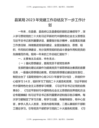 县某局2023年党建工作总结及下一步工作计划