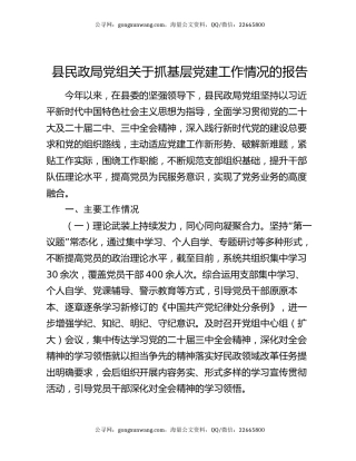 县民政局党组关于抓基层党建工作情况的报告