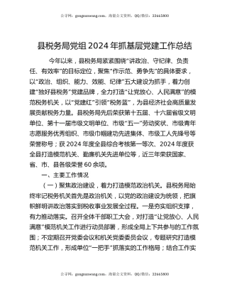 县税务局党组2024年抓基层党建工作总结