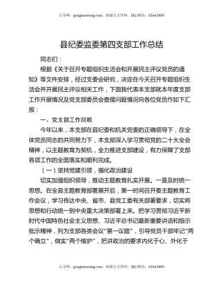 县纪委监委第四支部工作总结