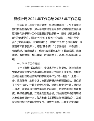 县统计局2024年工作总结2025年工作思路