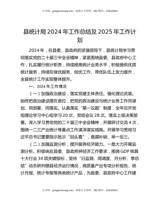 县统计局2024年工作总结及2025年工作计划