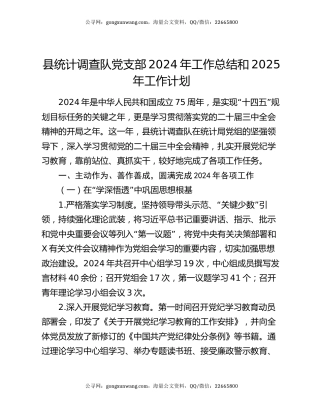 县统计调查队党支部2024年工作总结和2025年工作计划