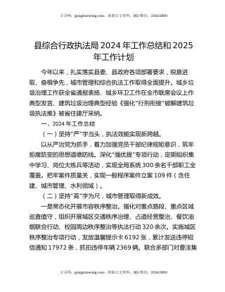 县综合行政执法局2024年工作总结和 2025年工作计划