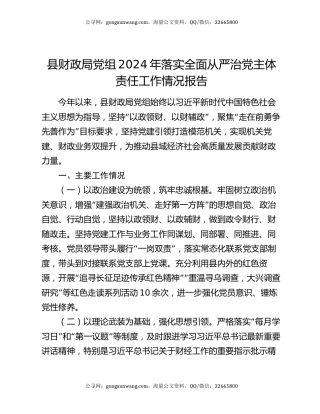 县财政局党组2024年落实全面从严治党主体责任工作情况报告