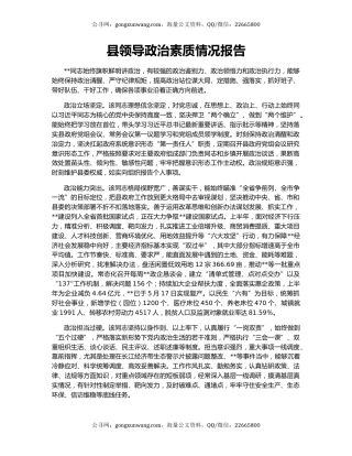 县领导政治素质情况报告