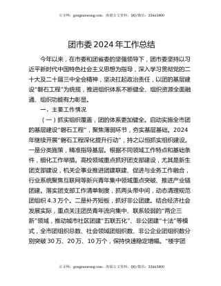 团市委2024年工作总结