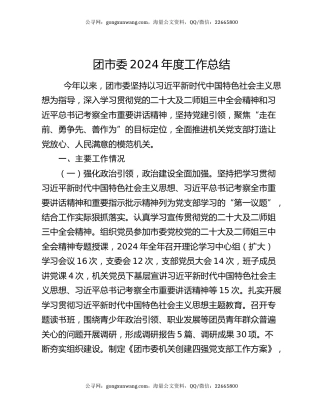 团市委2024年度工作总结