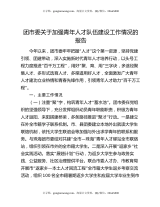 团市委关于加强青年人才队伍建设工作情况的报告