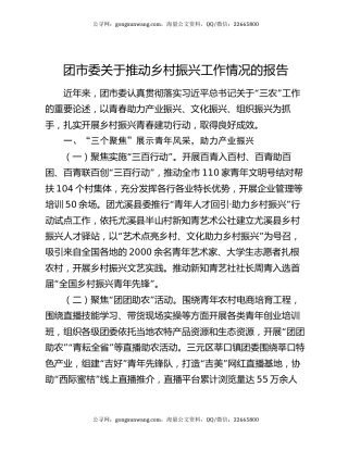 团市委关于推动乡村振兴工作情况的报告