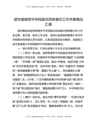 团市委铸劳中华民族共同体意识工作开展情况汇报