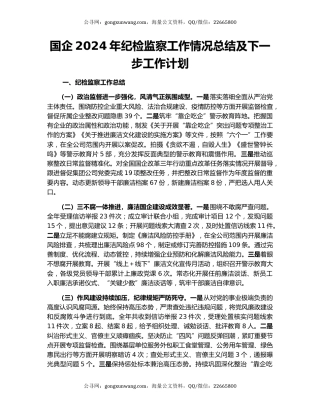 国企2024年纪检监察工作情况总结及下一步工作计划
