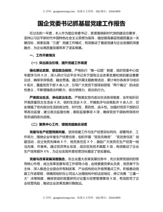 国企党委书记抓基层党建工作报告