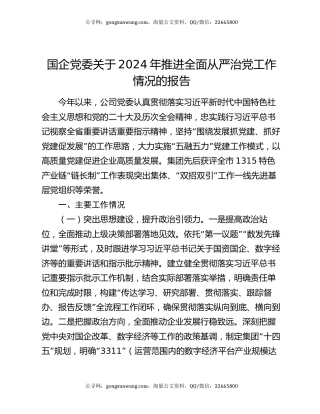 国企党委关于2024年推进全面从严治党工作情况的报告