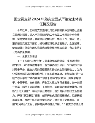 国企党支部2024年落实全面从严治党主体责任情况报告