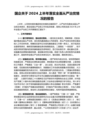 国企关于2024上半年落实全面从严治党情况的报告