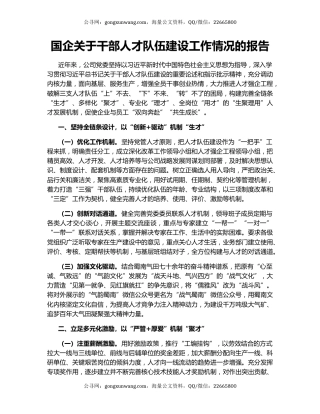 国企关于干部人才队伍建设工作情况的报告