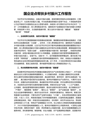 国企定点帮扶乡村振兴工作报告