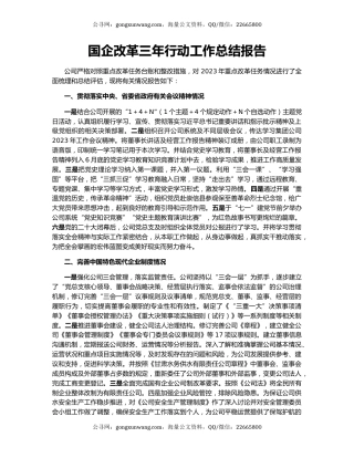 国企改革三年行动工作总结报告