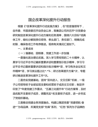 国企改革深化提升行动报告