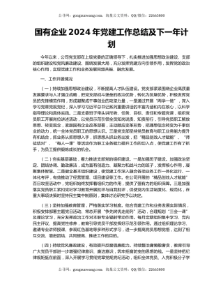 国有企业2024年党建工作总结及下一年计划