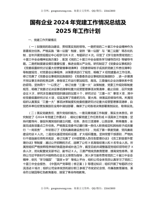 国有企业2024年党建工作情况总结及2025年工作计划