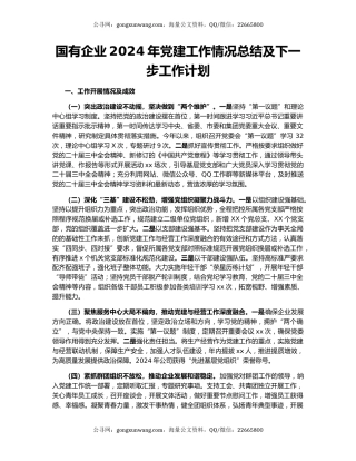 国有企业2024年党建工作情况总结及下一步工作计划（2）
