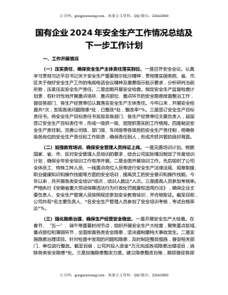 国有企业2024年安全生产工作情况总结及下一步工作计划