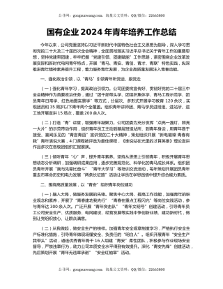 国有企业2024年青年培养工作总结