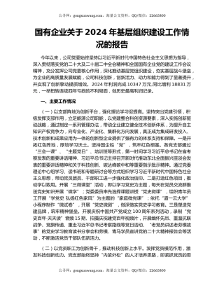 国有企业关于2024年基层组织建设工作情况的报告