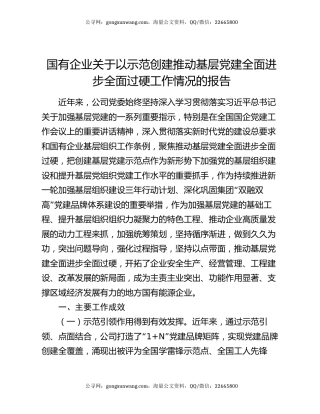 国有企业关于以示范创建推动基层党建全面进步全面过硬工作情况的报告
