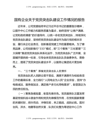 国有企业关于党员突击队建设工作情况的报告