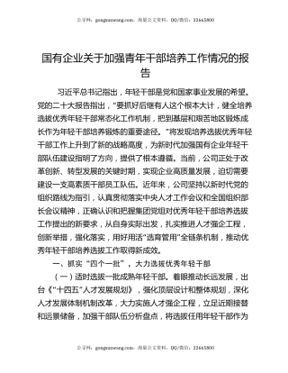 国有企业关于加强青年干部培养工作情况的报告
