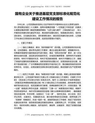 国有企业关于推进基层党支部标准化规范化建设工作情况的报告