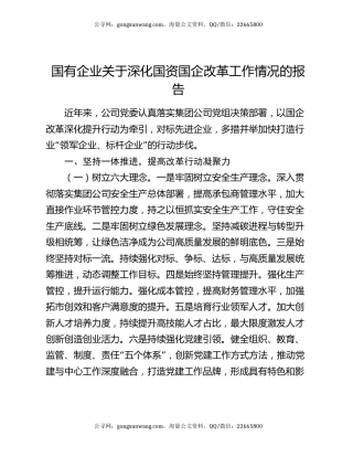 国有企业关于深化国资国企改革工作情况的报告